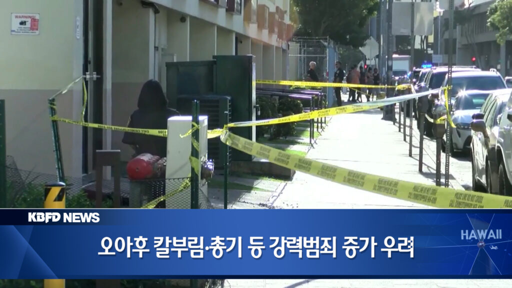 주말 살인사건 2건 | KBFD